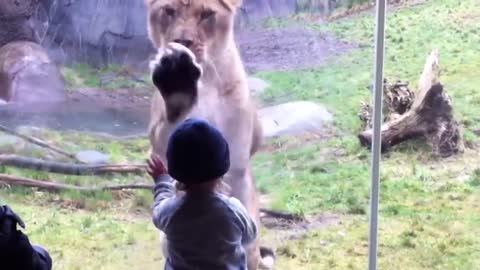 Kids at Zoooo