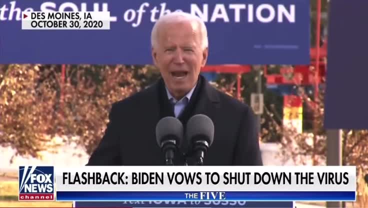 HOW MANY BIDENS? NO SERIOUSLY. 🤣🤣