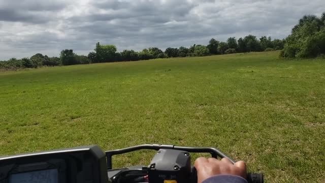 Michelle taking Rex for ride around our property