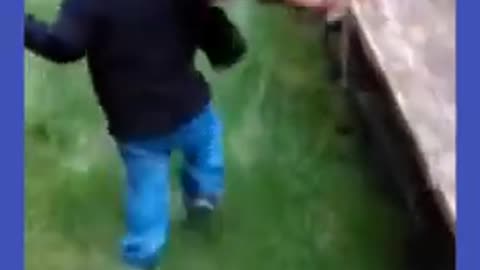 Watch the pets and their beauty 😍 😘