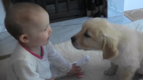 Adorable Baby and Amazing Puppy, meet for the first time !