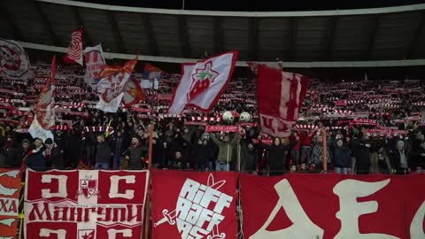 Crvena Zvezda vs PSG