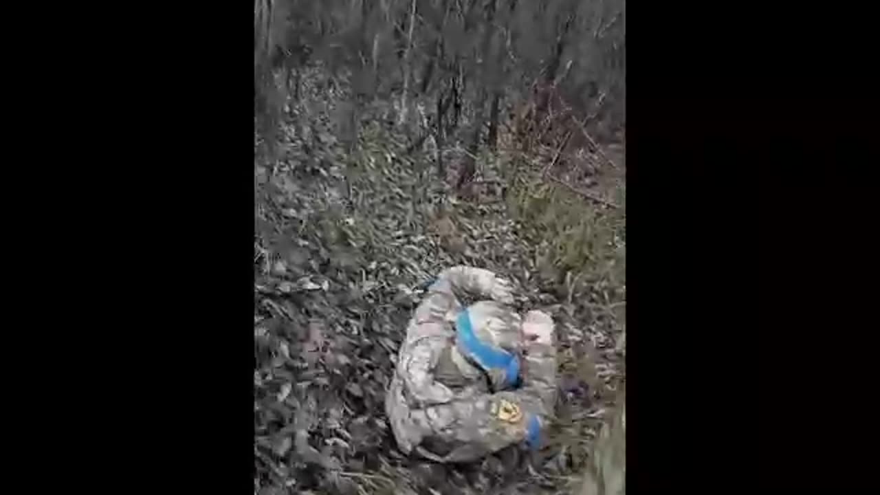 "Per favore, non mi picchiate, sono incinta!" - grida la donna militare ucraina.