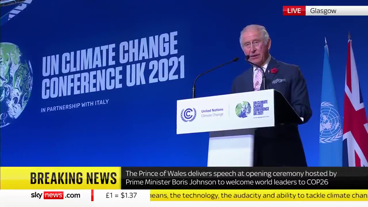 Prince Charles: Vast military like response needed to fight climate change