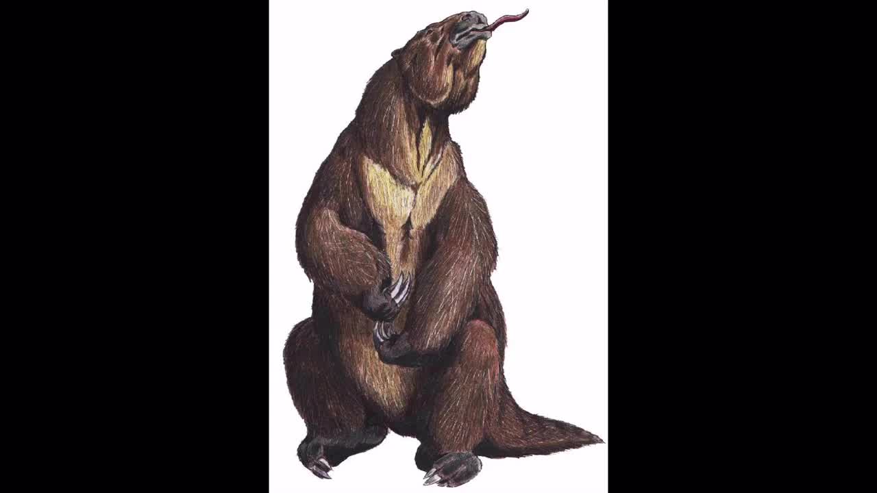 megatherium sound effect