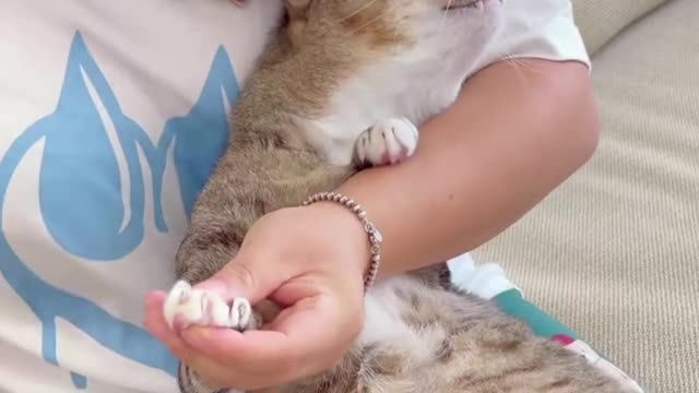 Cat's nails are a sneaky thing to cut