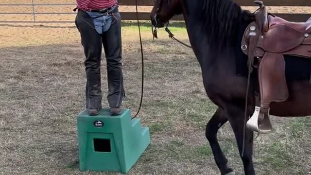 Want to learn how to make your horse do this?!