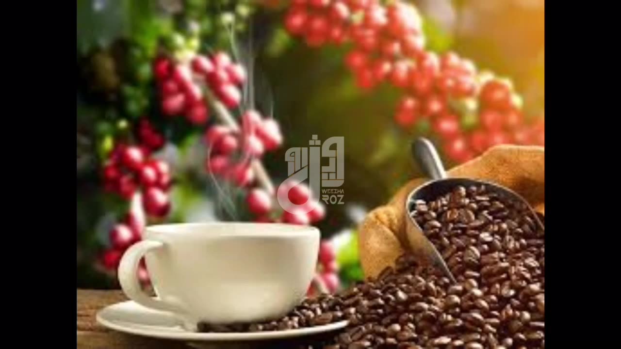 قهوه