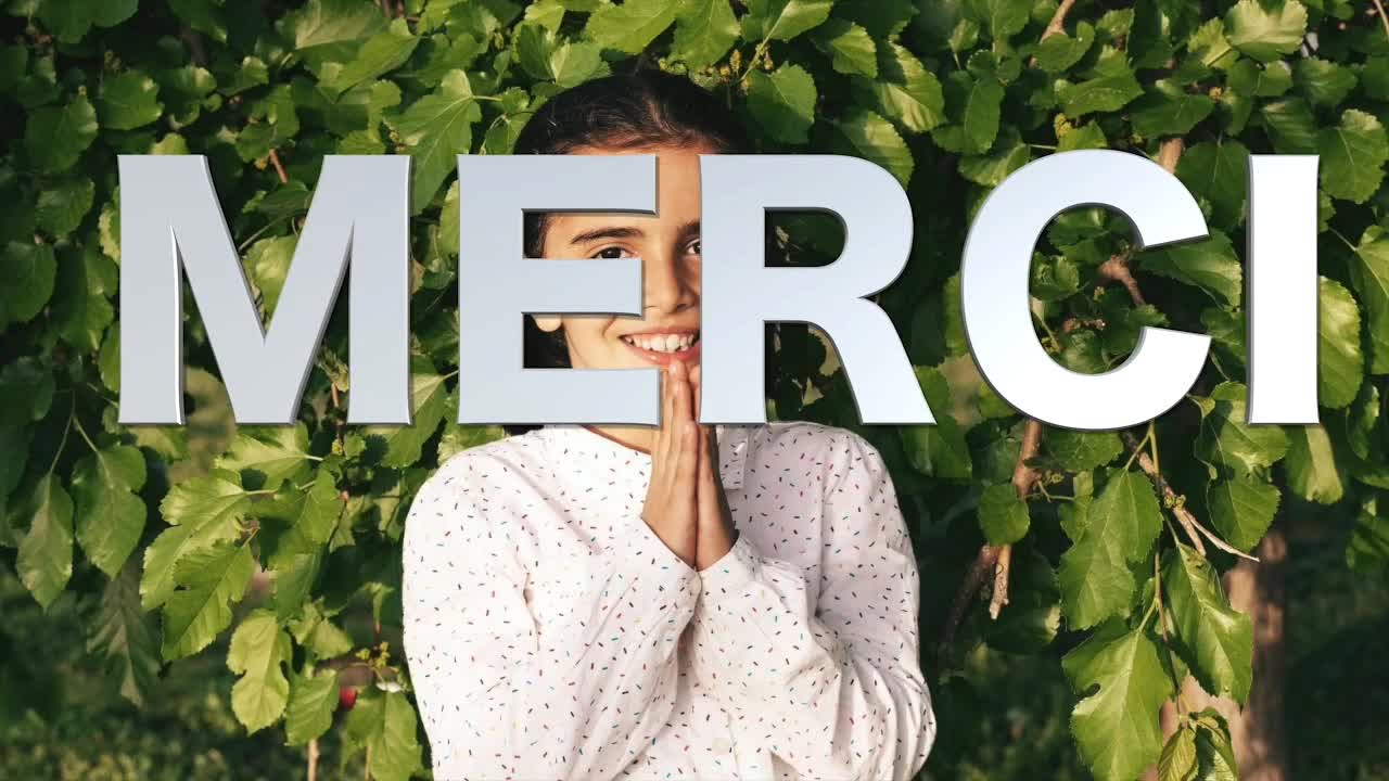 Merci, Digital Soldiers!