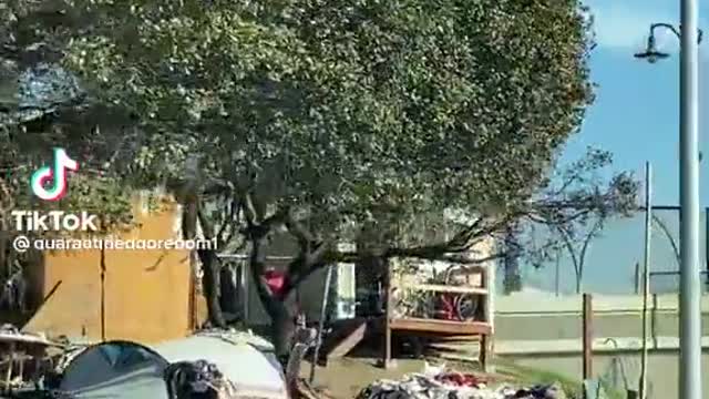 Welcome to Oakland California