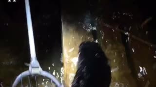 Two Buddies Sink an Old Boat