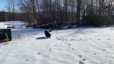 Snow Bath