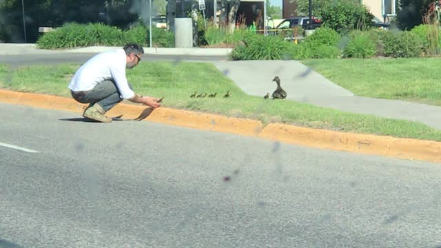 Dude Does Right by the Ducks