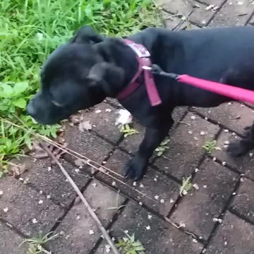 11.1.2024 Party in the Park