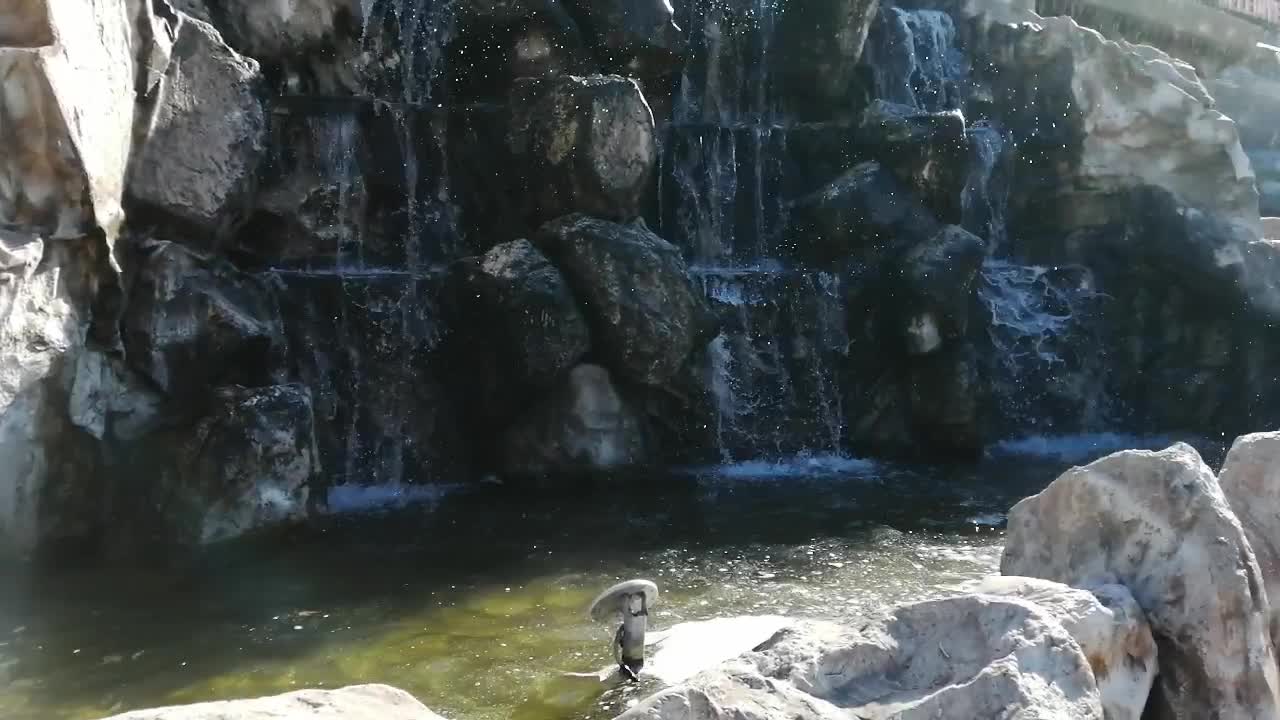 Beautiful waterfall view