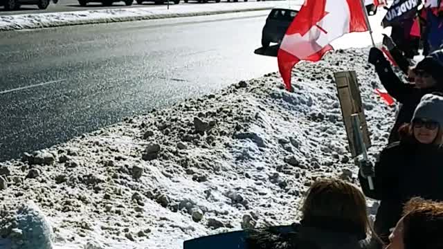 Freedom Protest Feb 4, 2022, cambridge, Ontario, canada