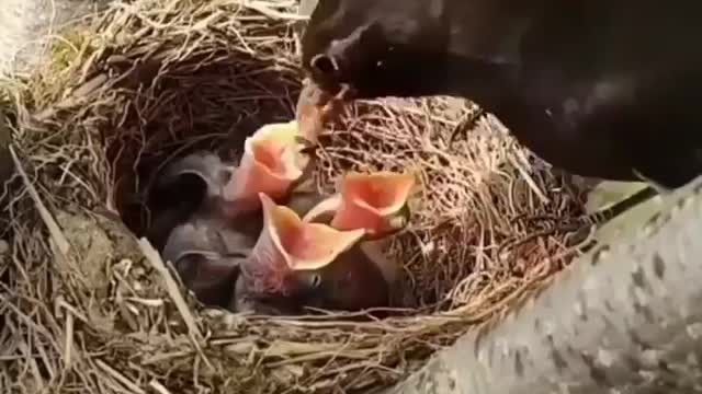 There's always enough love to go round! Yes?
