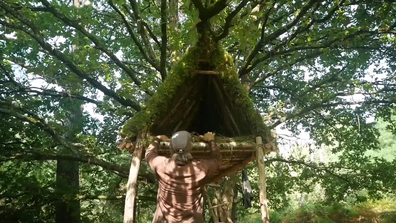 BUILDING A SHELTER Amazing suspended hut! Bushcraft! with minimal tools