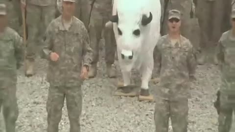 2010 Go ArmyBeat Navy Spirit Video 43rd Sustainment Brigade Go Army Beat Navy