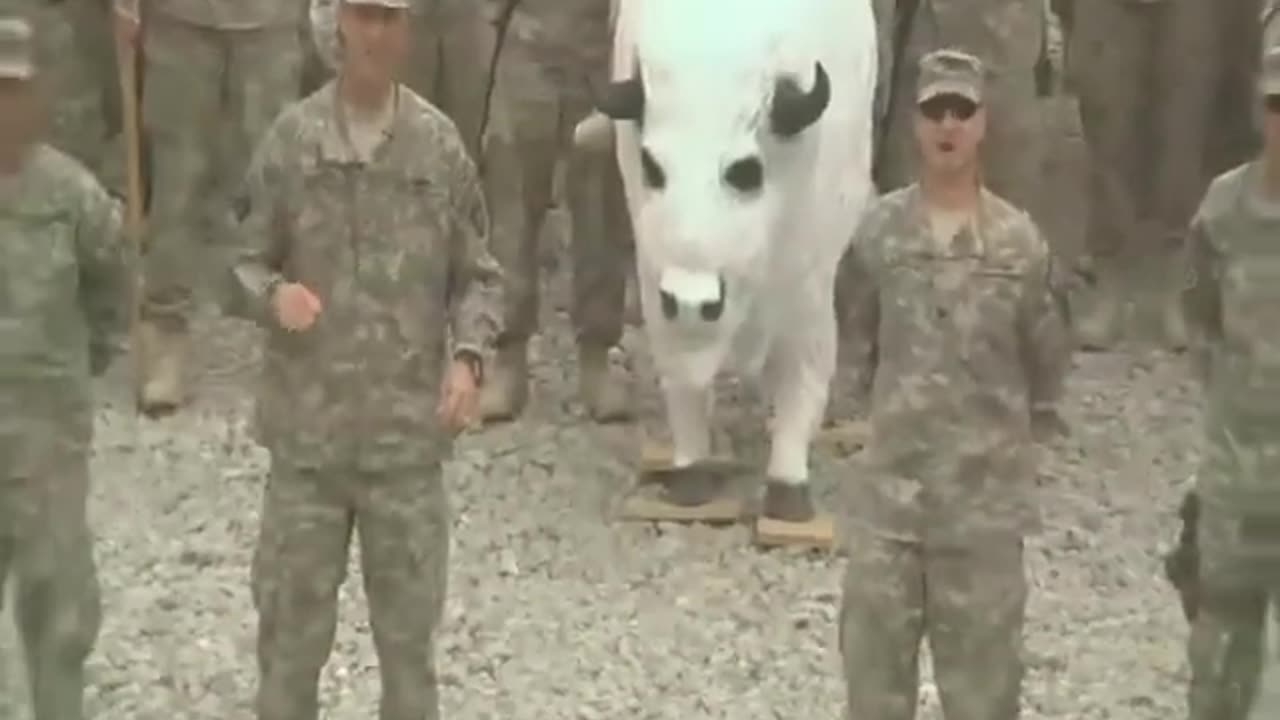 2010 Go ArmyBeat Navy Spirit Video 43rd Sustainment Brigade Go Army Beat Navy