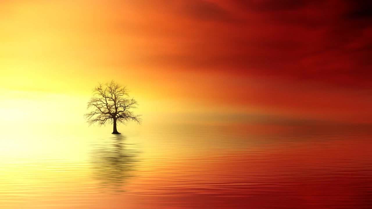 HEAVEN SENT | RELAXATION.