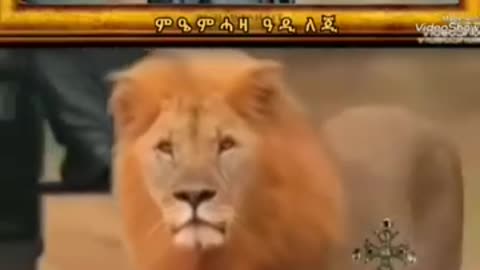 ዓድታትን ጅግንነትን ኣከለጉዛይ ብምሉኡ ኣብዚ"ለኩም