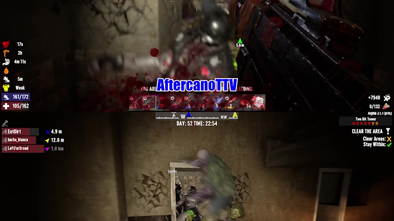 So many Zombies the game was lagging