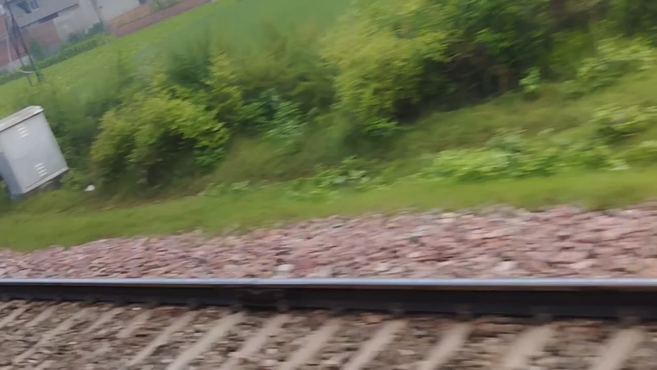 Viral train video