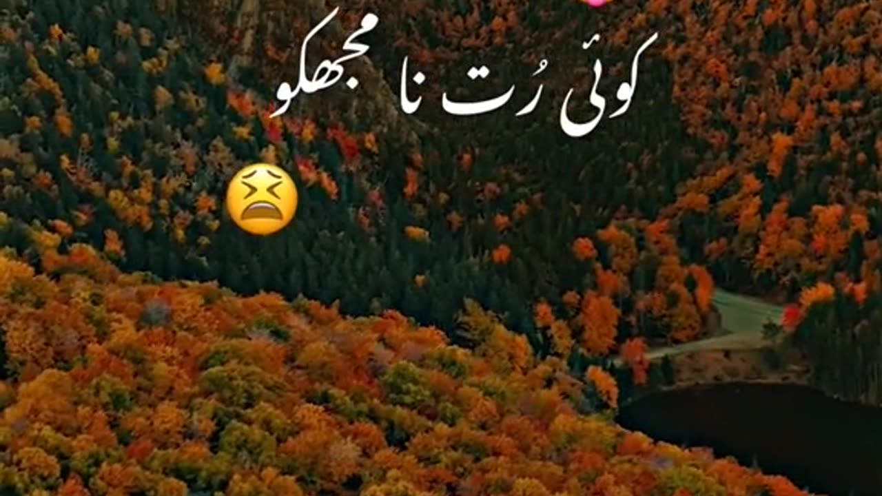 This is for my love