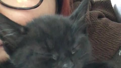 Black kitten sleepy