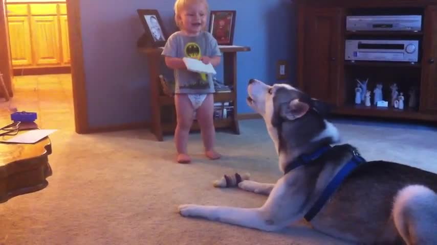 Baby and husky in deep conversation