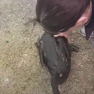 Beautiful_reunion_🥹🥹❤️(720p)