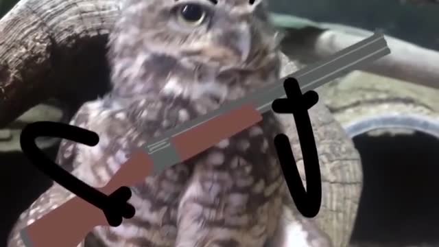 iphone 6 meme very very funny video dd