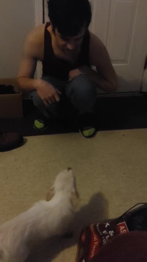 Tito is talking to dad