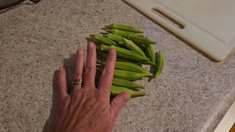 Summer Harvest Okra and Bell Pepper Preservation (August 19, 2024)