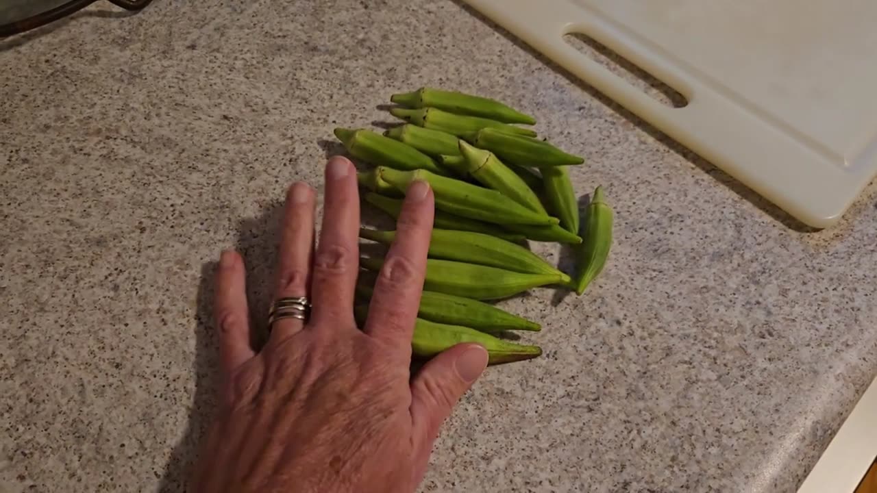 Summer Harvest Okra and Bell Pepper Preservation (August 19, 2024)