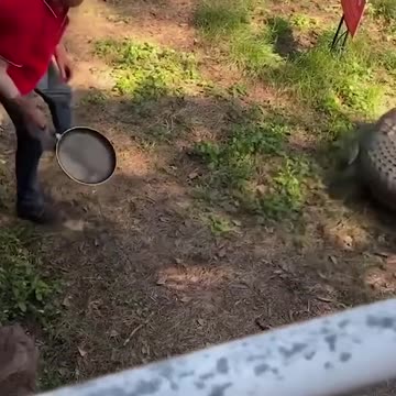 Big fails ������