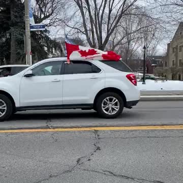 Toronto Yonge Street Trump Supporters