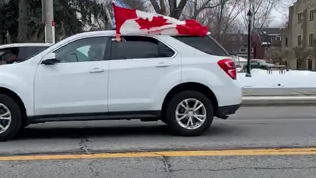 Toronto Yonge Street Trump Supporters