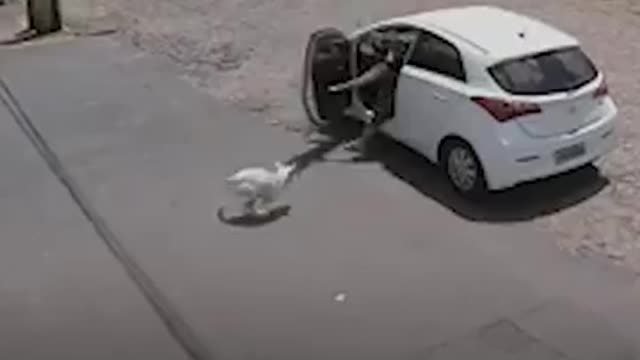Woman abandoned dog but guess what happens! KARMA