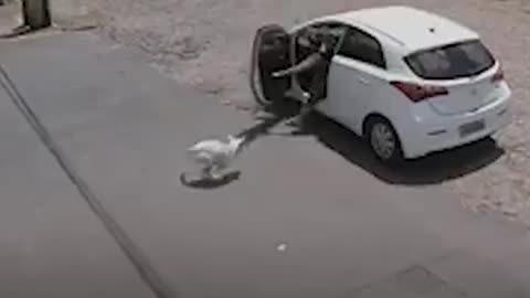 Woman abandoned dog but guess what happens! KARMA