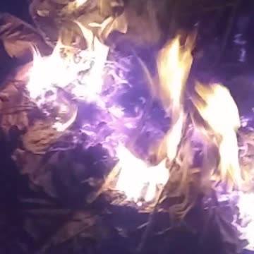 Fire in the garden in the night