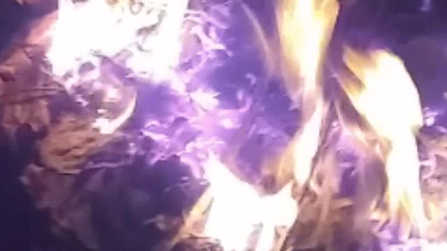 Fire in the garden in the night