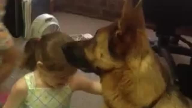 Dog patiently awaits her turn during game of duck duck goose