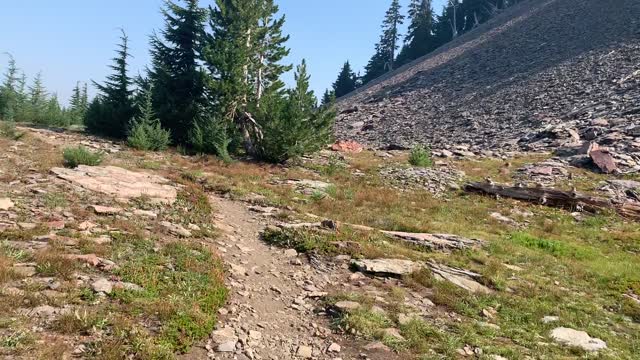 Central Oregon - Three Sisters Wilderness - Picturesque Alpine Meadow in Mountain's Shadow