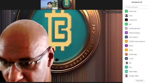 bfuel explaination by vinny