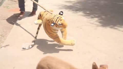 Dogs Pranks!!! Fake Tiger Prank Dog So Funny Dog Try To Stop Laugh Challenge Comedy Video