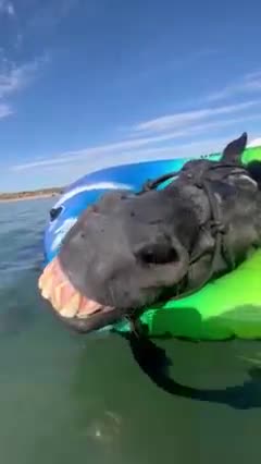 Living His Best Life