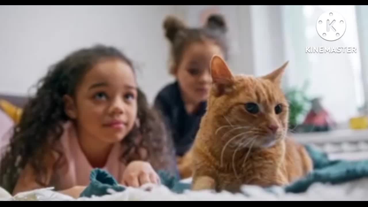 Pussy is playing with kids in fun way.