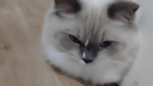 Don't disturb me ! Saturday is my rest day.
